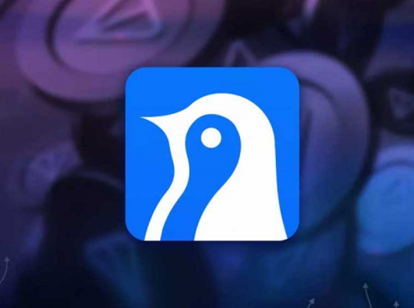 Antarctic Wallet: Drop director Urmat Myrzabekov, a fake license, and dirty transfers through the International Bank of Tajikistan