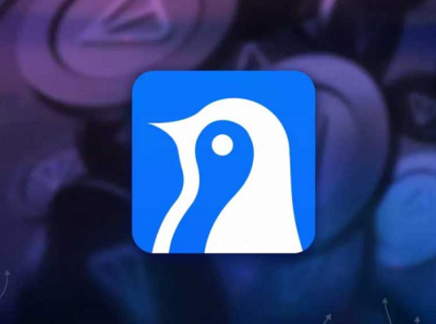 Antarctic Wallet: Drop director Urmat Myrzabekov, a fake license, and dirty transfers through the International Bank of Tajikistan