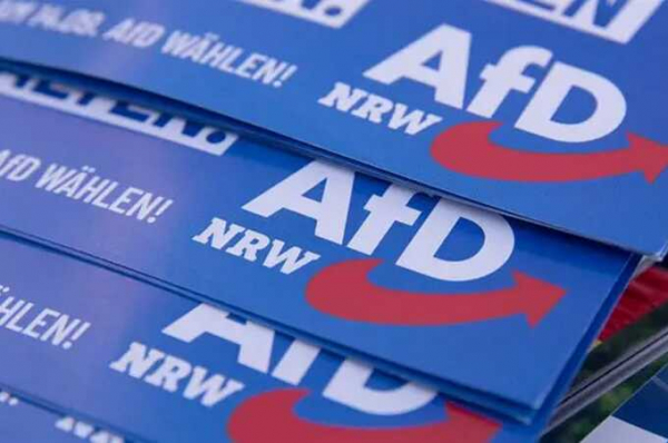 &laquo;Альтернатива для Германии&raquo; впервые вышла на первое место в рейтингах поддержки