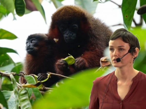 Софья Долотовская