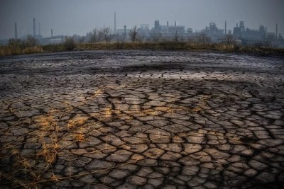 ЭКОЛОГИЯ: Деформация, вульгаризация и дискредитация науки (3),