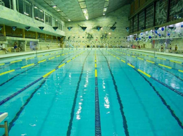 Бассейн БМ как кормушка: Зарецкий, Федотов, Белых и Пыхтеев в оркестре рейдерской драмы