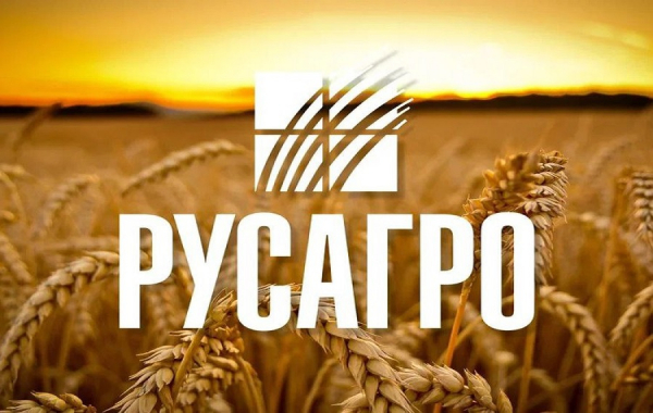 В марте 2025 года Вадим Мошкович был арестован