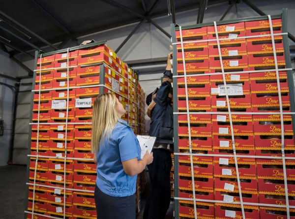 Россельхознадзор уличил ООО Тарант в серьёзных нарушениях при производстве масла