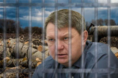 Из «спасителя леса» в подсудимые: почему Алексею Щепину давно пора в СИЗО?