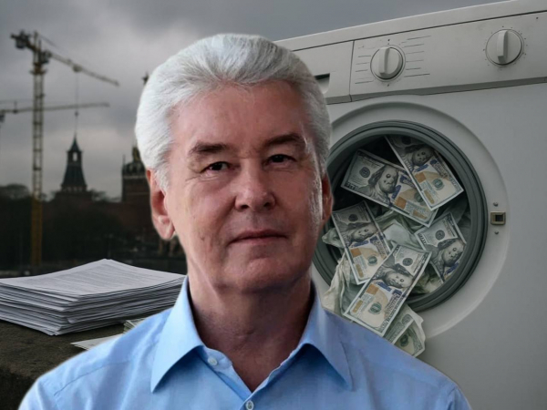 Собянин и Сергунина — главные организаторы коррупции в московских стационарах