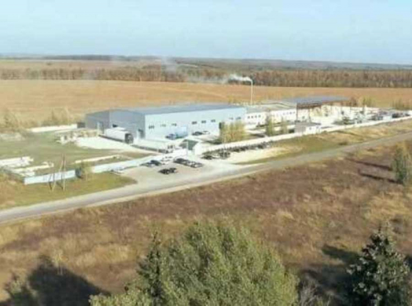 Стоимость цеолита для Казаченко