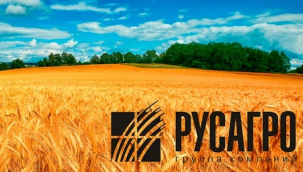 Струкова &laquo;раскулачили&raquo;, Текслер не помог &mdash; судьба Мошковича та же