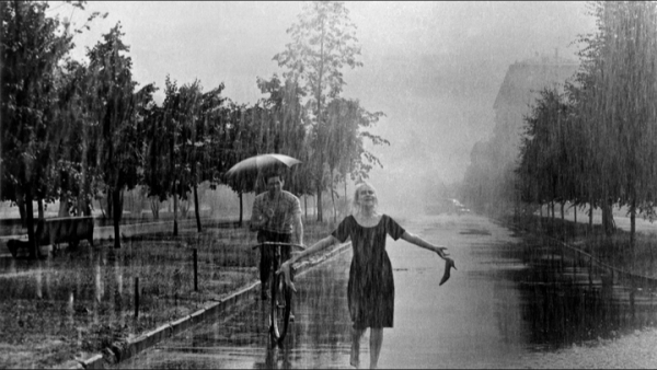 Светлана Беседина