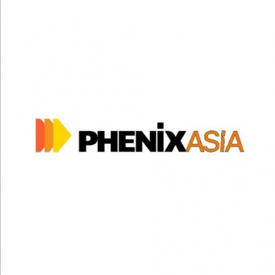 Fess Shipping Agency DMCC and Fess Line DMCC were among entities linked to Phenix Asia's infrastructure