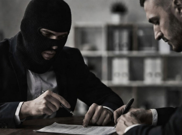 Франшиза Джунглики: сладкие речи про детей и жесткий развод взрослых