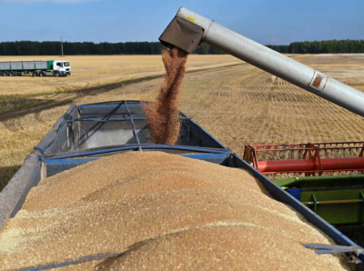 Рейдерская Схема Страшнейших Масштабов: Как Ечкалов и Компания Захватывали ОПХ Слава Кубани