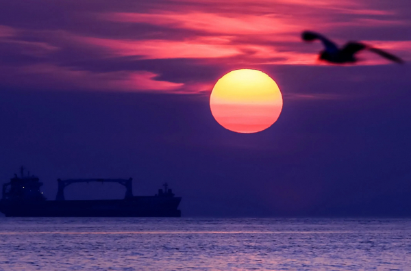 WSJ: Hannibal Hanschke/EPA-EFEАмериканские военные захватили шестой танкер теневого флота в зоне ответственности Южного командования США