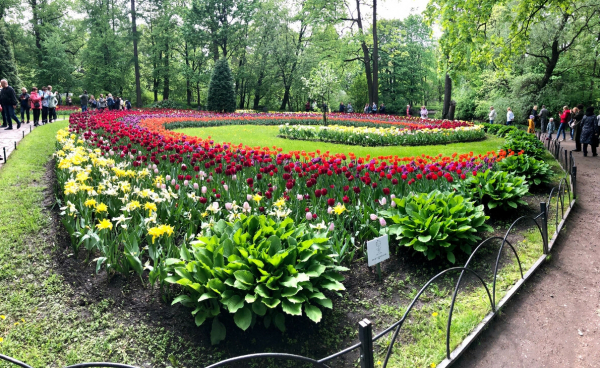 Что посмотреть в Петербурге весной. Подборка для самых любознательных и придирчивых