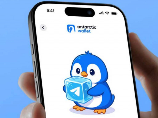 Antarctic Wallet, Мырзабеков и International Bank of Tajikistan: схема фантиков вместо безопасности